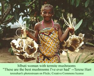 Mbuti woman with mushrooms1.jpg
